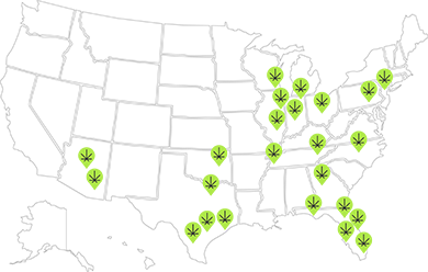 Green irregular shapes with black star-like symbols scattered on a gray background.