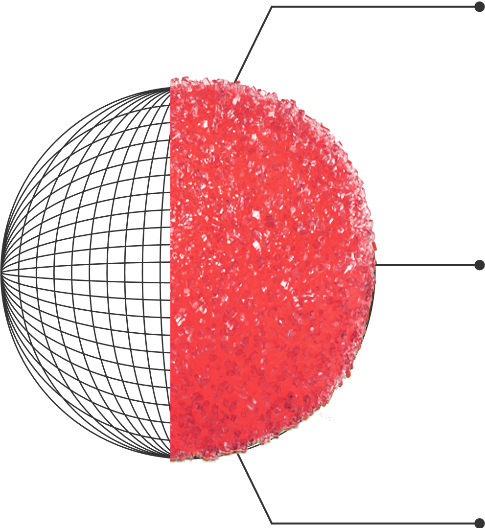 Cross-section of a red spherical object with a grid pattern on the left half and a textured red surface on the right half, showing internal structure.