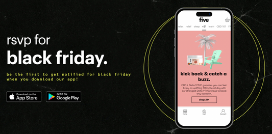 RSVP for Black Friday banner with app-store badges and phone mockup showing 'kick back & catch a buzz.'